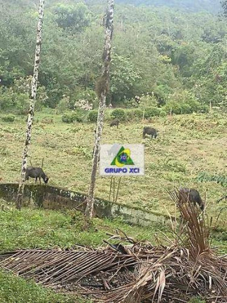 Imagem Fazenda à Venda, 13.190.400 m² em Centro - Sete Barras
