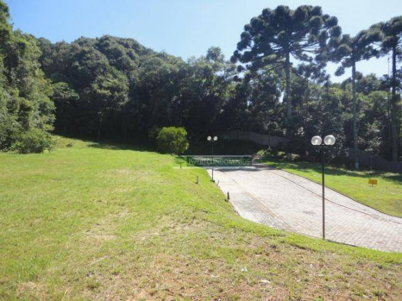 Imagem Terreno à Venda, 614 m² em Campo Comprido - Curitiba Imagem Terreno à Venda, 614 m² em Campo Comprido - Curitiba