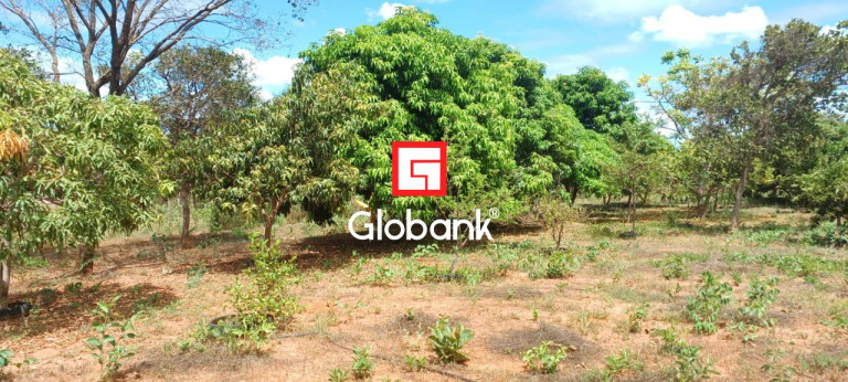 Imagem Imóvel com 3 Quartos à Venda, 12.000 m² em São João Das Veredas - Montes Claros
