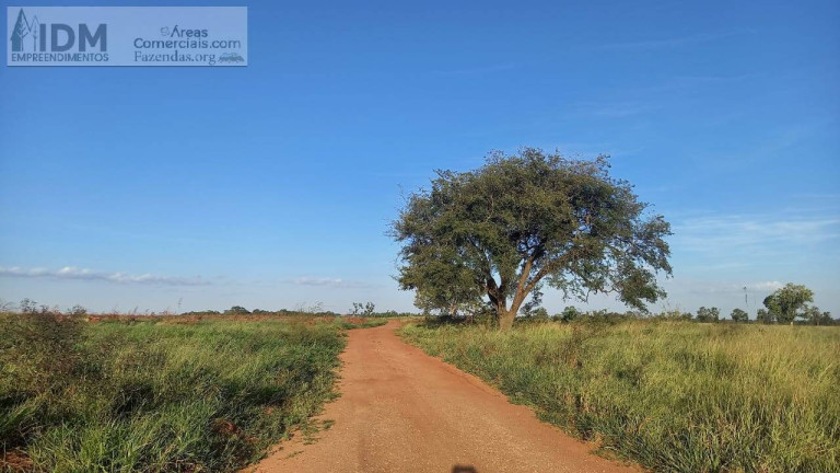 Imagem Chácara à Venda, 6.030.000 m² em Centro - Campo Grande