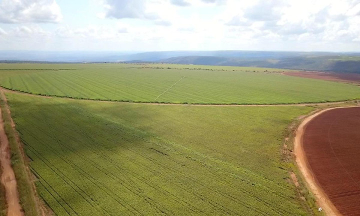 Imagem Fazenda à Venda, 1.300 m² em Zona Rural - Planaltina Imagem Fazenda à Venda, 1.300 m² em Zona Rural - Planaltina