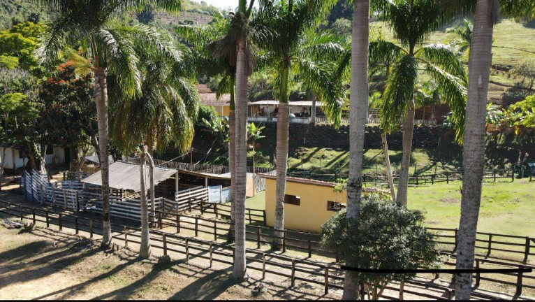 Imagem Chácara com 6 Quartos à Venda, 150.000 m² em Monte Belo - Santa Rita Do Sapucaí