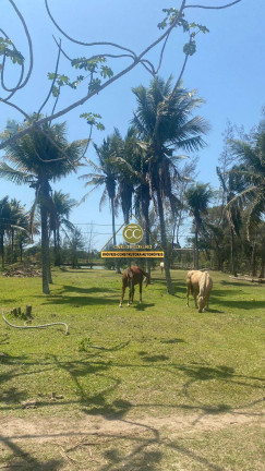 Imagem Terreno à Venda,  em Unamar (tamoios) - Cabo Frio