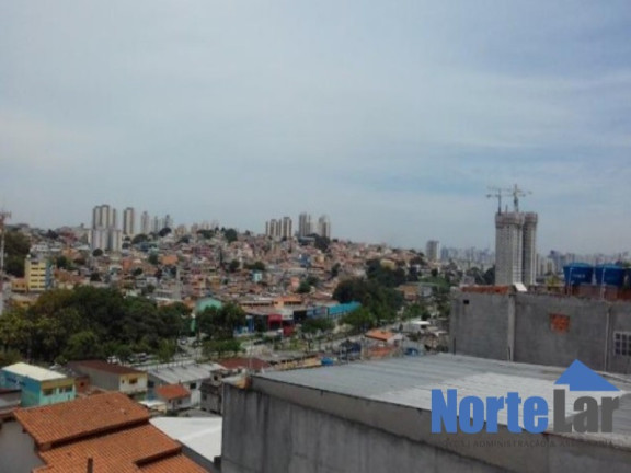 Imagem Casa com 3 Quartos à Venda, 189 m² em Vila Palmeiras - São Paulo