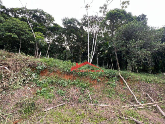 Imagem Terreno à Venda, 442 m² em Itaum - Joinville