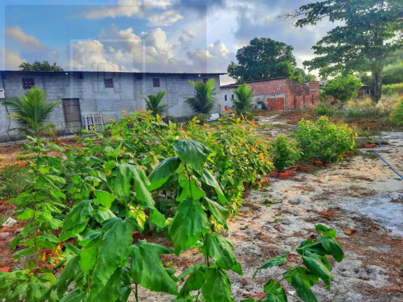 Imagem Chácara com 3 Quartos à Venda, 11.800 m² Imagem Chácara com 3 Quartos à Venda, 11.800 m²