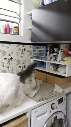 Imagem Apartamento com 1 Quarto à Venda, 75 m² em Santa Cecília - São Paulo Imagem Apartamento com 1 Quarto à Venda, 75 m² em Santa Cecília - São Paulo