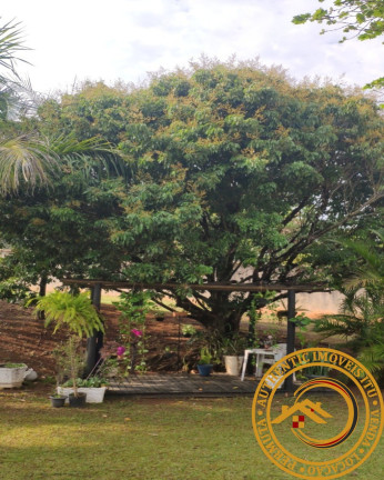 Imagem Imóvel com 4 Quartos à Venda, em Colinas Do Mosteiro De Itaici - Indaiatuba Imagem Imóvel com 4 Quartos à Venda, em Colinas Do Mosteiro De Itaici - Indaiatuba