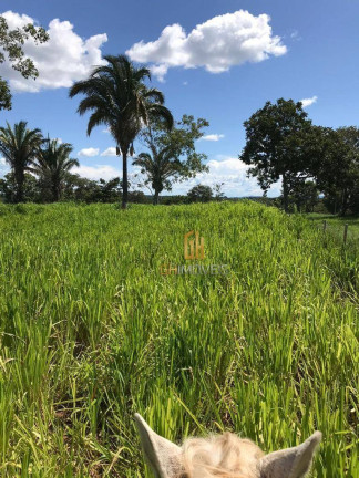 Imagem Chácara à Venda, 121.000 m² em Fazenda - Itapirapuã Imagem Chácara à Venda, 121.000 m² em Fazenda - Itapirapuã