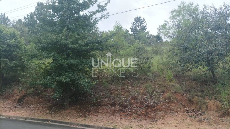Imagem Terreno à Venda, 6.240 m² em Ivoturucaia - Jundiaí Imagem Terreno à Venda, 6.240 m² em Ivoturucaia - Jundiaí