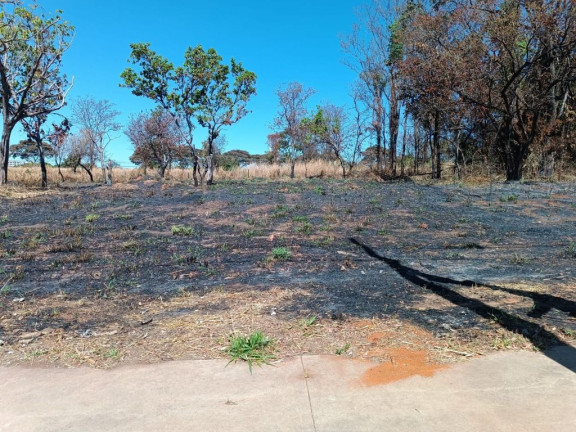 Imagem Terreno à Venda, 490 m² em Setor Faiçalville - Goiânia Imagem Terreno à Venda, 490 m² em Setor Faiçalville - Goiânia