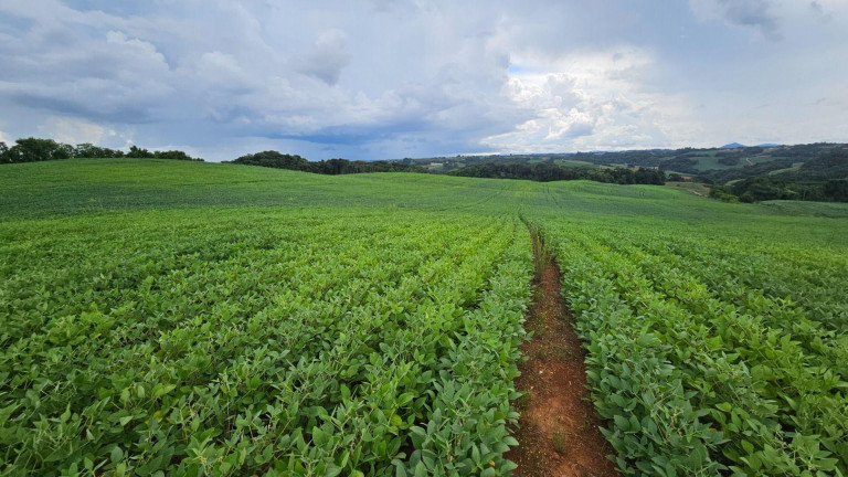 Fazenda à Venda, 3.303 m² em Barreiro - Campo Magro