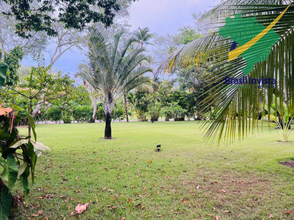 Imagem Terreno à Venda, 2.000 m² em Guaiù - Santa Cruz Cabrália Imagem Terreno à Venda, 2.000 m² em Guaiù - Santa Cruz Cabrália