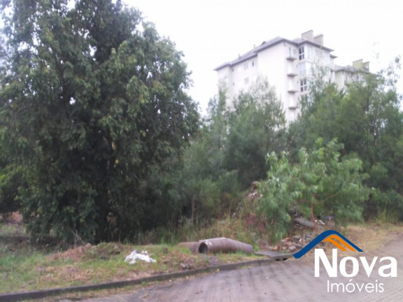 Imagem Imóvel à Venda, 434 m² em Pousada Da Neve - Nova Petrópolis