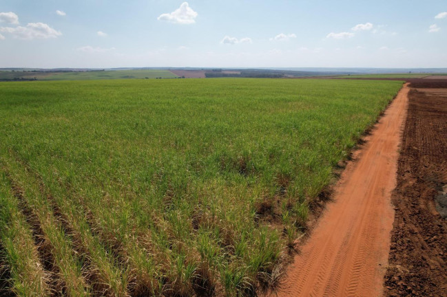 Imagem Fazenda à Venda, 64 m² em Zona Rural - Bariri Imagem Fazenda à Venda, 64 m² em Zona Rural - Bariri