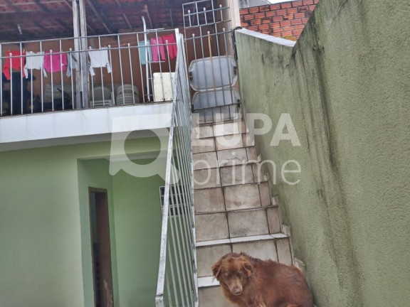 Imagem Casa com 3 Quartos à Venda, 223 m² em Vila Maria - São Paulo