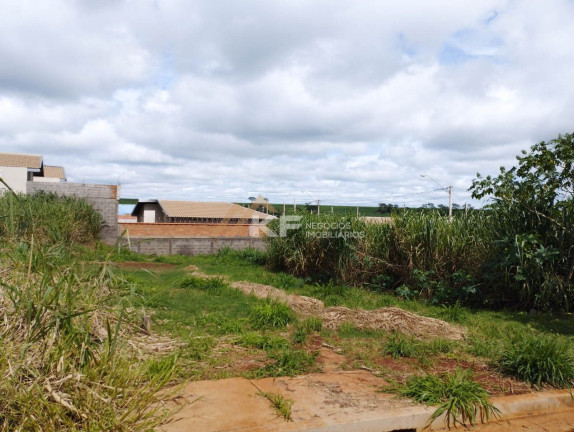 Terreno à Venda, 200 m² em Reserva Macaúba - Ribeirão Preto