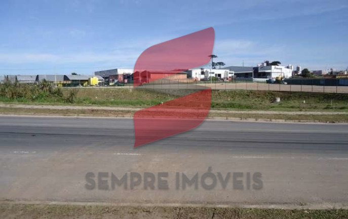 Imagem Terreno à Venda, 11.062 m² em águas Belas - São José Dos Pinhais