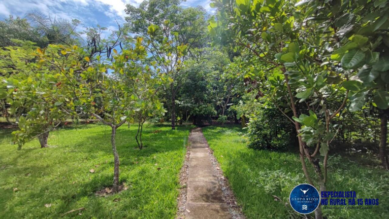 Imagem Chácara à Venda, 4 m² em Zona Rural - Hidrolândia Imagem Chácara à Venda, 4 m² em Zona Rural - Hidrolândia