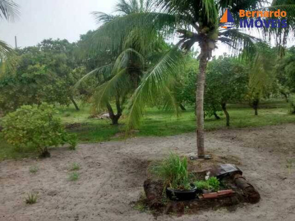Imagem Chácara à Venda, 5 m² em Caponga - Cascavel Imagem Chácara à Venda, 5 m² em Caponga - Cascavel
