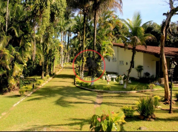 Imagem Casa com 4 Quartos à Venda, 724 m² em Boiçucanga - São Sebastião