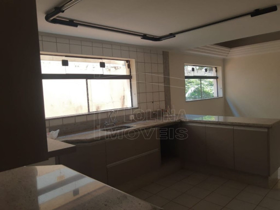 Imagem Casa com 4 Quartos para Alugar, em Jardim Primavera - Araraquara Imagem Casa com 4 Quartos para Alugar, em Jardim Primavera - Araraquara