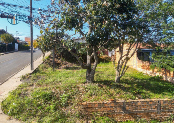 Imagem Terreno à Venda, 252 m² em Vila São João - Irati Imagem Terreno à Venda, 252 m² em Vila São João - Irati