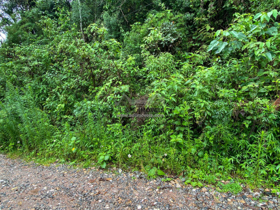 Imagem Terreno à Venda, 1 m² em Parque Aquarela - Campos Do Jordão Imagem Terreno à Venda, 1 m² em Parque Aquarela - Campos Do Jordão