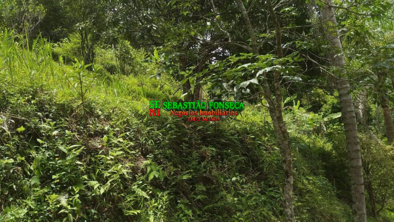 Imagem Chácara com 3 Quartos à Venda, 5.000 m² em Canaã Ll - Jambeiro Imagem Chácara com 3 Quartos à Venda, 5.000 m² em Canaã Ll - Jambeiro