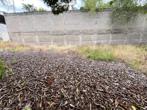 Imagem Imóvel à Venda, 450 m² em Fátima Cidade Jardim - Guarapari Imagem Imóvel à Venda, 450 m² em Fátima Cidade Jardim - Guarapari
