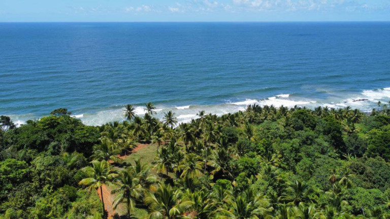 Imagem Chácara à Venda, 22 m² em Serra Grande - Uruçuca - Uruçuca Imagem Chácara à Venda, 22 m² em Serra Grande - Uruçuca - Uruçuca