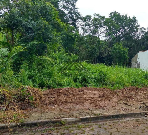 Imagem Terreno à Venda, 300 m² em Jardim Suarão - Itanhaém