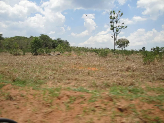 Imagem Fazenda à Venda, 500 m² em Zona Rural - Paranatinga