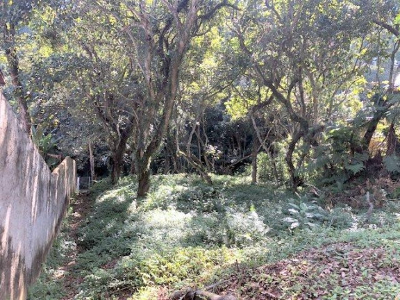 Imagem Terreno à Venda, 450 m² em Recantinho - Carapicuíba Imagem Terreno à Venda, 450 m² em Recantinho - Carapicuíba