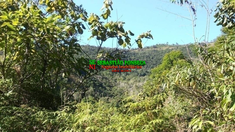 Imagem Fazenda à Venda, 30 m² em Centro - Monteiro Lobato Imagem Fazenda à Venda, 30 m² em Centro - Monteiro Lobato