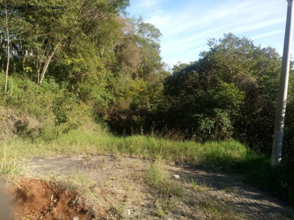 Imagem Terreno à Venda, 1.646 m² em Pousada Da Neve - Nova Petrópolis Imagem Terreno à Venda, 1.646 m² em Pousada Da Neve - Nova Petrópolis