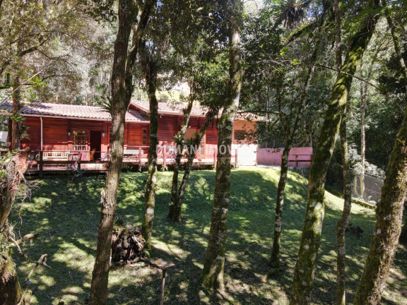 Imagem Casa com 4 Quartos à Venda, 190 m² em Região Do Alto Da Boa Vista - Campos Do Jordão