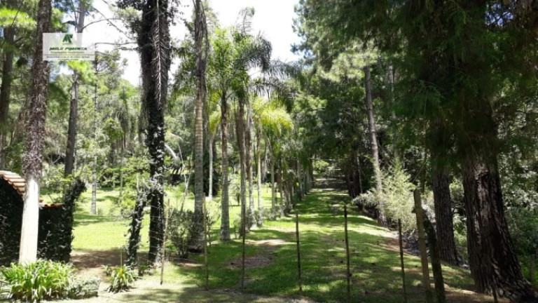 Imagem Fazenda à Venda, 38.000 m² em Sorocamirim - São Roque Imagem Fazenda à Venda, 38.000 m² em Sorocamirim - São Roque
