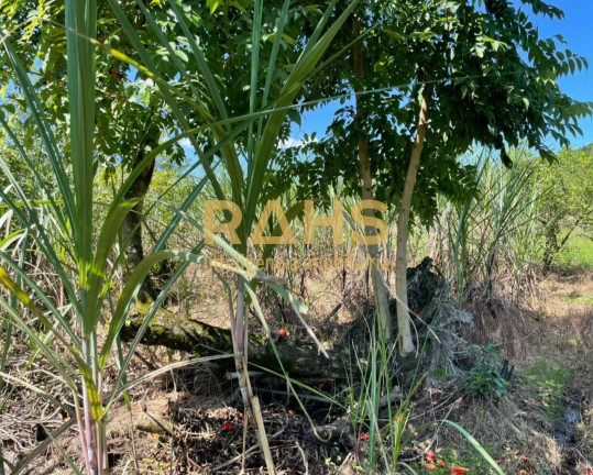 Imagem Chácara com 2 Quartos à Venda, 28.637 m² em Garuva - Garuva Imagem Chácara com 2 Quartos à Venda, 28.637 m² em Garuva - Garuva