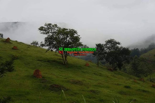 Imagem Chácara à Venda, 30.000 m² em Sob. Consulta - Monteiro Lobato Imagem Chácara à Venda, 30.000 m² em Sob. Consulta - Monteiro Lobato