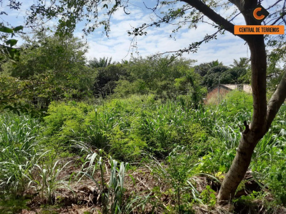 Imagem Terreno à Venda, 844 m² em Vilas Do Atlantico - Lauro De Freitas Imagem Terreno à Venda, 844 m² em Vilas Do Atlantico - Lauro De Freitas