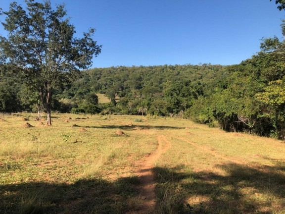 Imagem Fazenda à Venda, 229.899 m² em Centro - Córrego Do Ouro Imagem Fazenda à Venda, 229.899 m² em Centro - Córrego Do Ouro