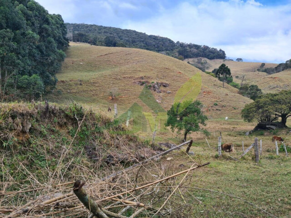 Imagem Chácara com 2 Quartos à Venda, 750.200 m² em Piracaia - Piracaia Imagem Chácara com 2 Quartos à Venda, 750.200 m² em Piracaia - Piracaia