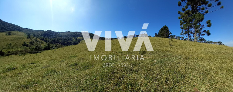 Imagem Fazenda à Venda, 338.800 m² em Rural - Pedra Bela Imagem Fazenda à Venda, 338.800 m² em Rural - Pedra Bela