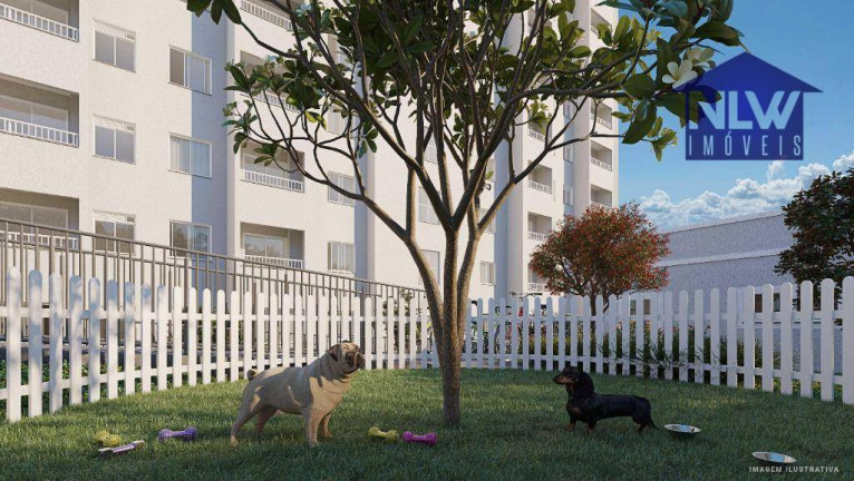 Imagem Apartamento com 2 Quartos à Venda, 38 m² em Paraisópolis - São Paulo