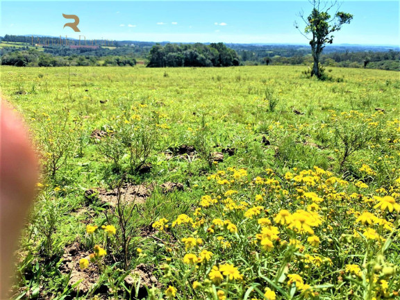 Imagem Chácara à Venda, 5.000 m² em Fiuza - Viamão Imagem Chácara à Venda, 5.000 m² em Fiuza - Viamão