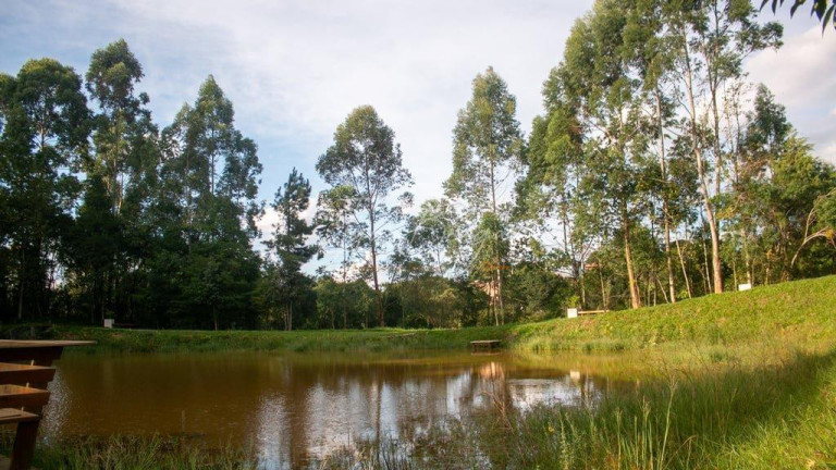 Imagem Terreno à Venda, 282 m² em Vila Rivabem - Campo Largo Imagem Terreno à Venda, 282 m² em Vila Rivabem - Campo Largo