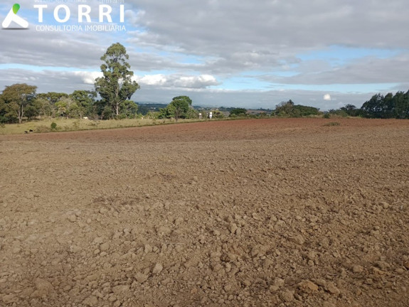 Imagem Terreno à Venda, 20.000 m² em Alto Grande - Araçoiaba Da Serra Imagem Terreno à Venda, 20.000 m² em Alto Grande - Araçoiaba Da Serra