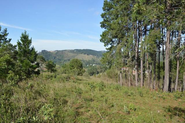 Imagem Terreno à Venda, 75 m² em Vale Encantado - Campos Do Jordão Imagem Terreno à Venda, 75 m² em Vale Encantado - Campos Do Jordão