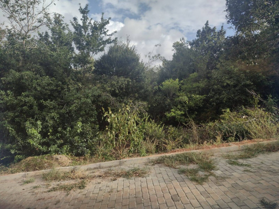Terreno à Venda, 1.500 m² em Imediações Do Anel Viário De Pipa - Tibau Do Sul